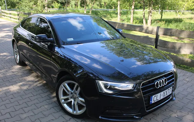 audi a5 lipno Audi A5 cena 65900 przebieg: 189342, rok produkcji 2013 z Lipno